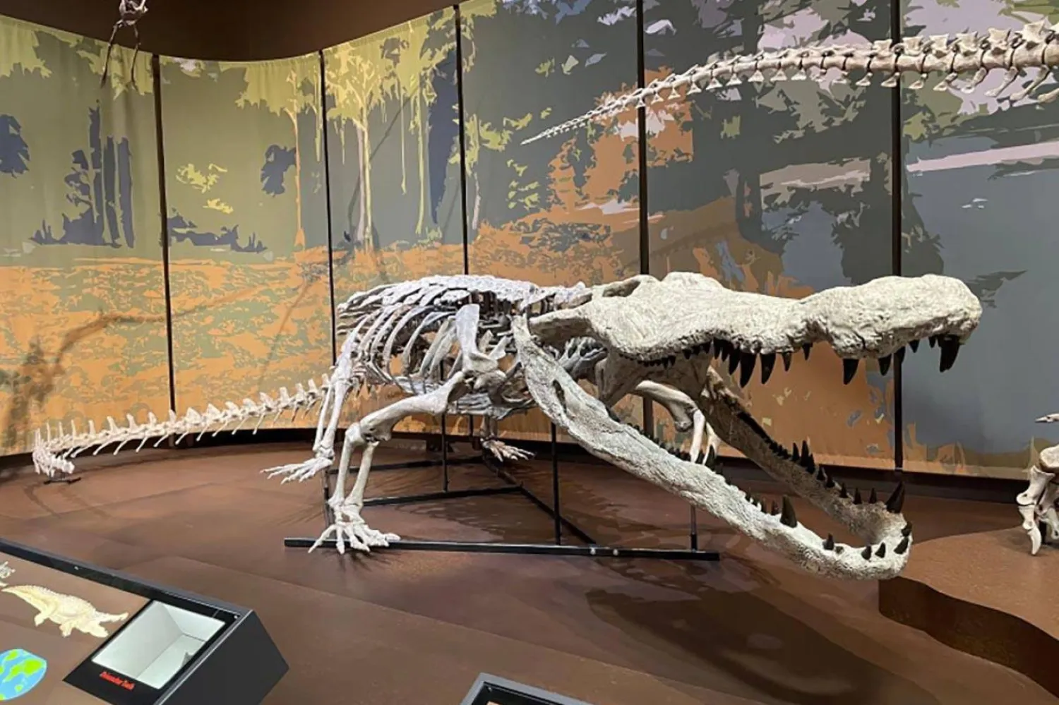 Dinozor katili